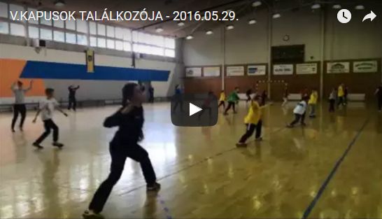 V.kapusok talĂĄlkozĂłja 2016.jpg